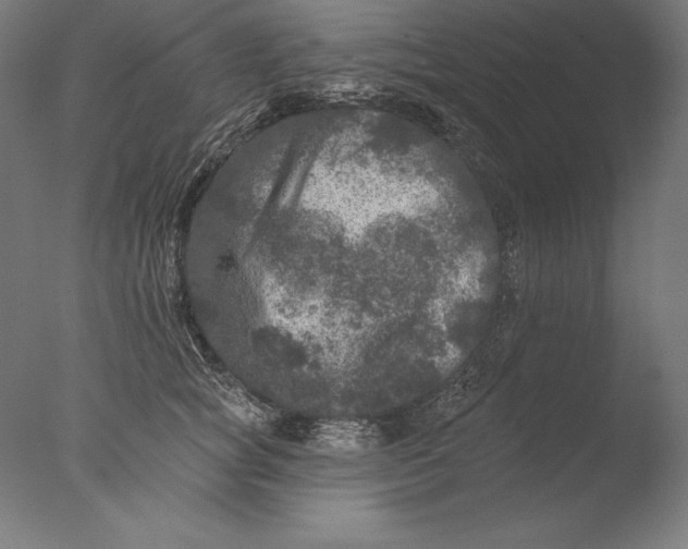 X0000076300757200610201546