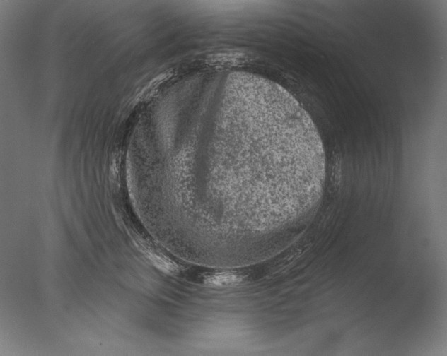 X0000076300759200610201546