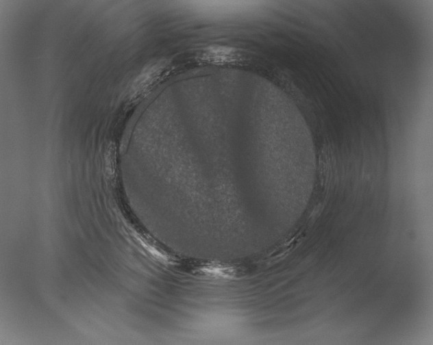 X0000076300760200610201546