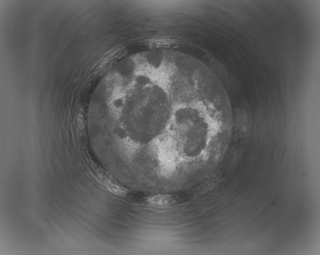 X0000076300761200610201546