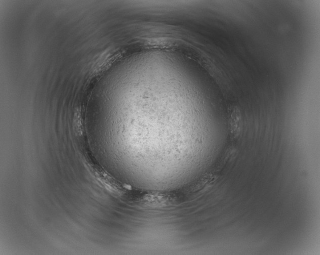 X0000076300764200610201546