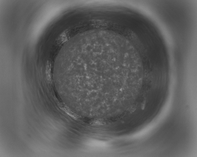 X0000076300765200610201546