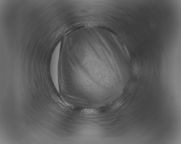 X0000076300766200610201546