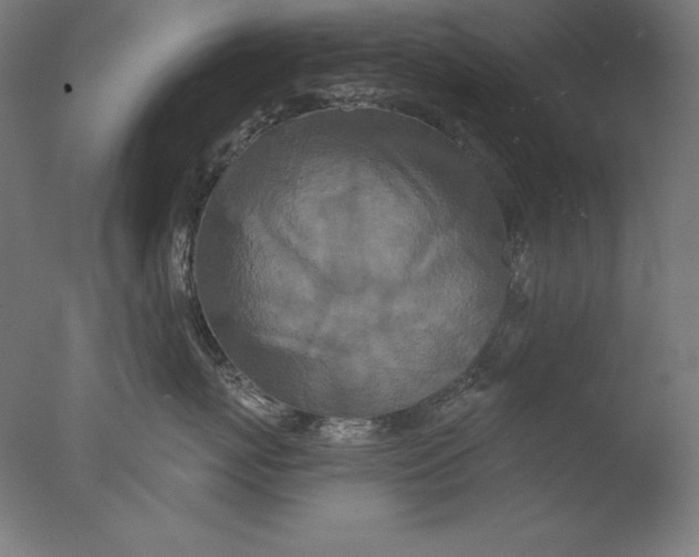 X0000076300767200610201546