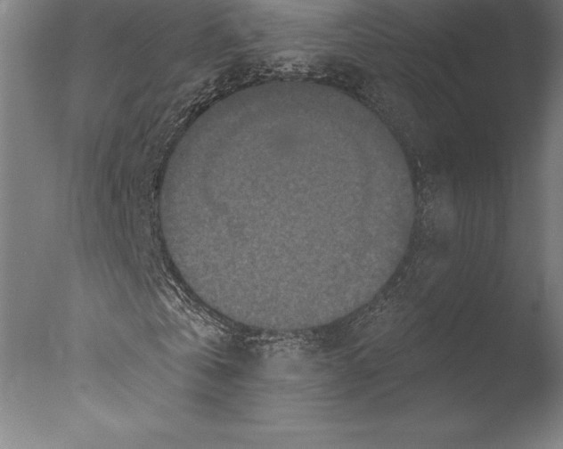 X0000076300769200610201546