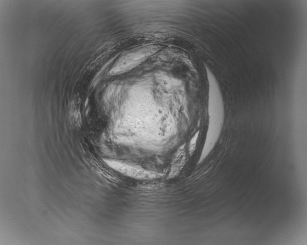 X0000076300771200610201545