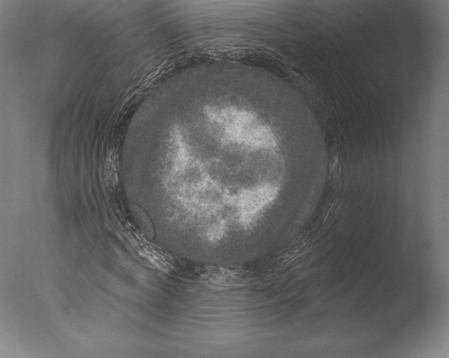 X0000076300772200610201545