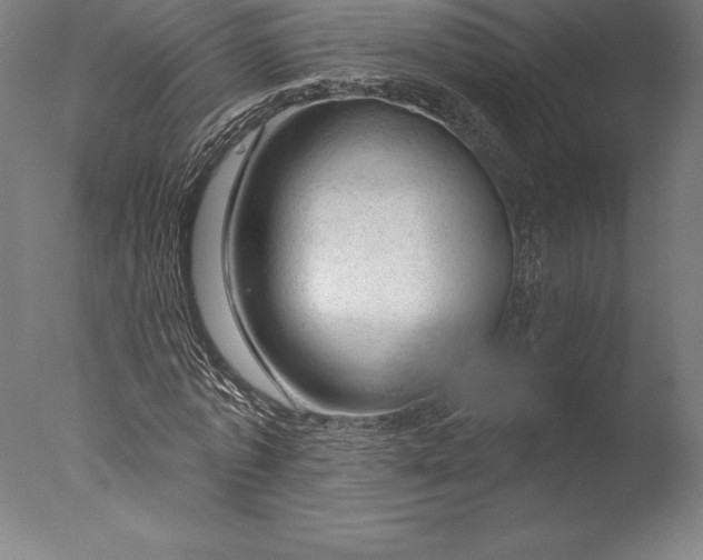 X0000076300773200610201545