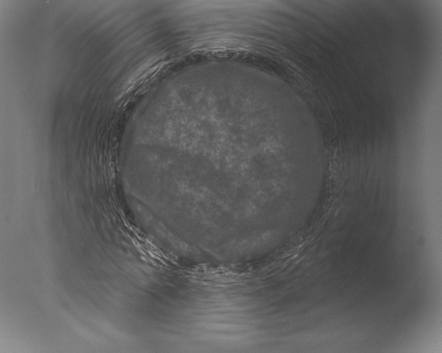 X0000076300774200610201545