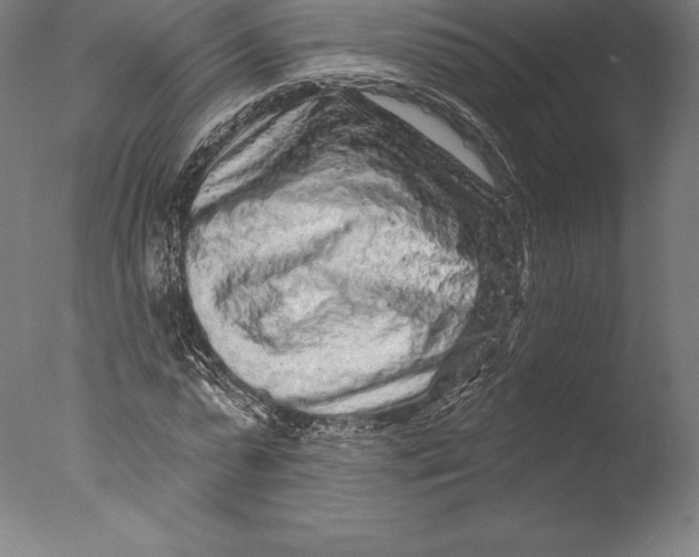 X0000076300775200610201545