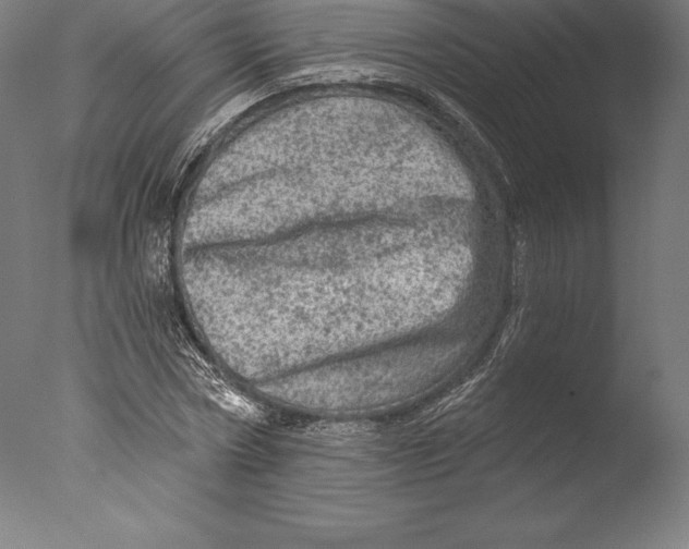 X0000076300778200610201545