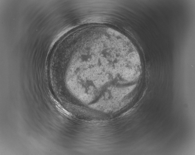 X0000076300779200610201545