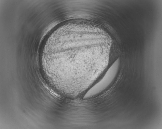 X0000076300780200610201545