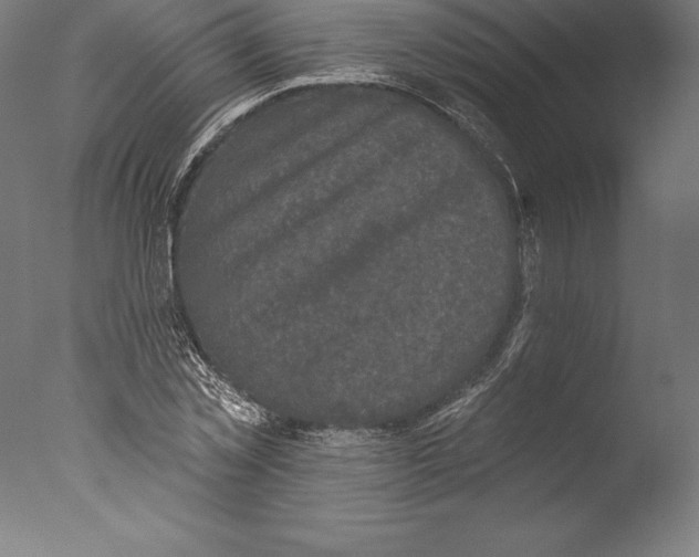 X0000076300781200610201545