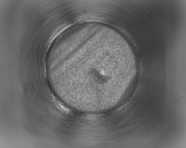 X0000076300782200610201545