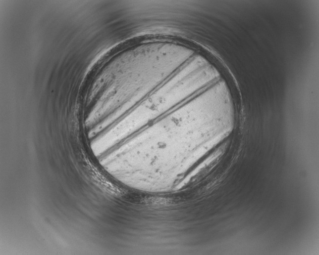 X0000076300783200610201545