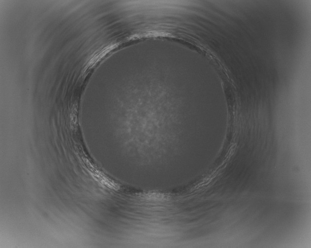 X0000076300785200610201545