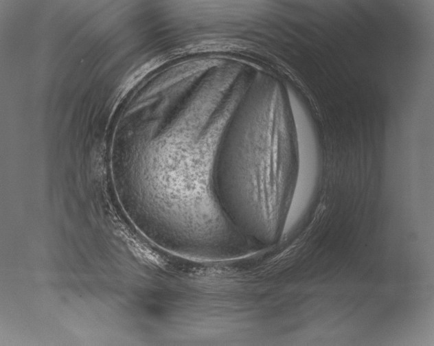 X0000076300786200610201545