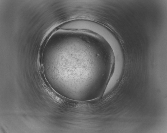 X0000076300788200610201545