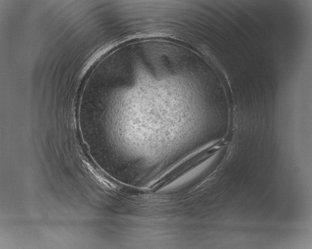 X0000076300789200610201545