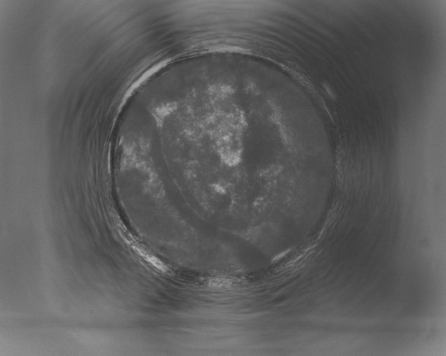 X0000076300790200610201545