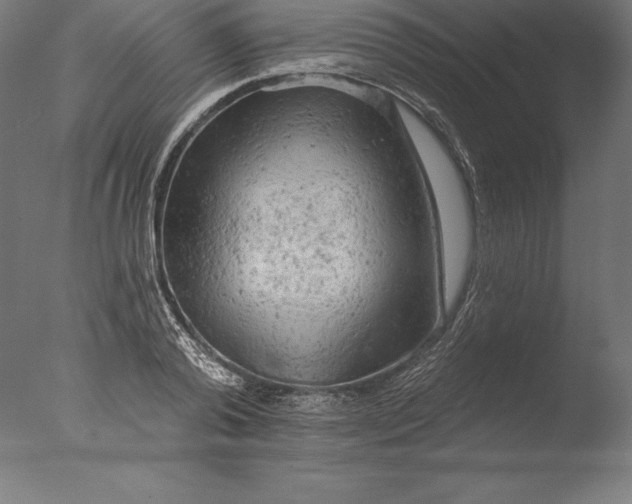 X0000076300792200610201545