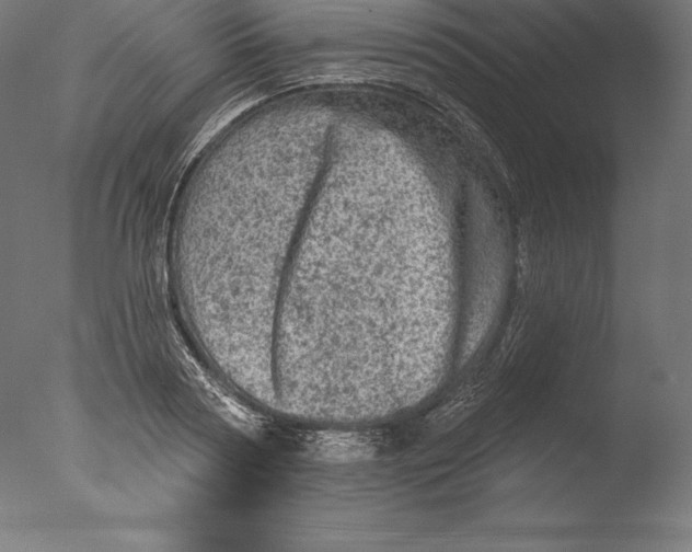 X0000076300794200610201545