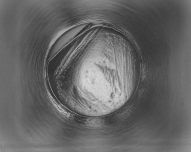 X0000076300795200610201545