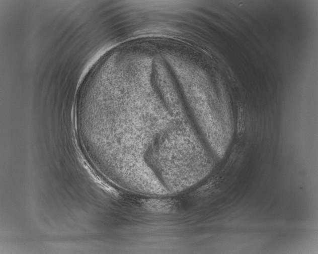 X0000076300796200610201545