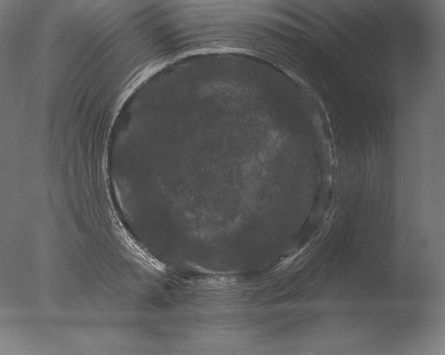 X0000076300797200610201545