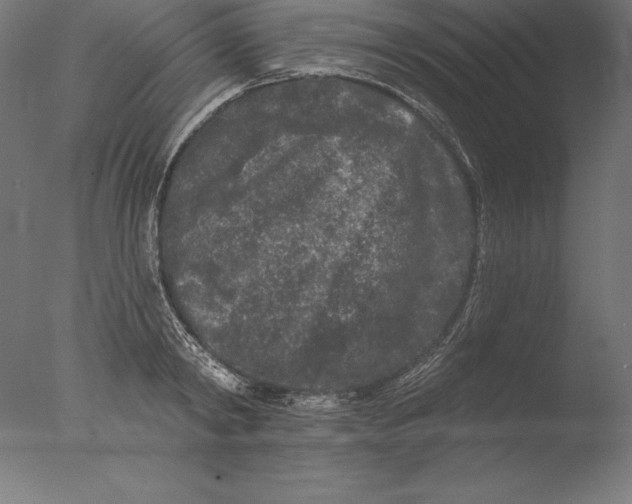 X0000076300798200610201545