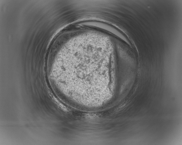 X0000076300799200610201545