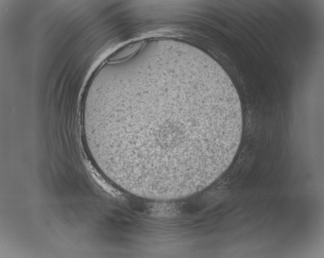 X0000076300800200610201545