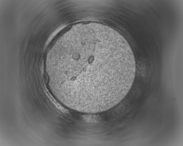 X0000076300804200610201545