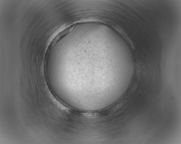 X0000076300805200610201545