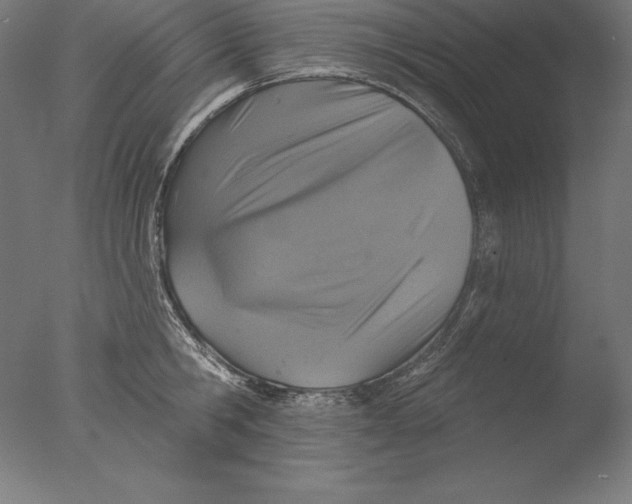 X0000076300806200610201545