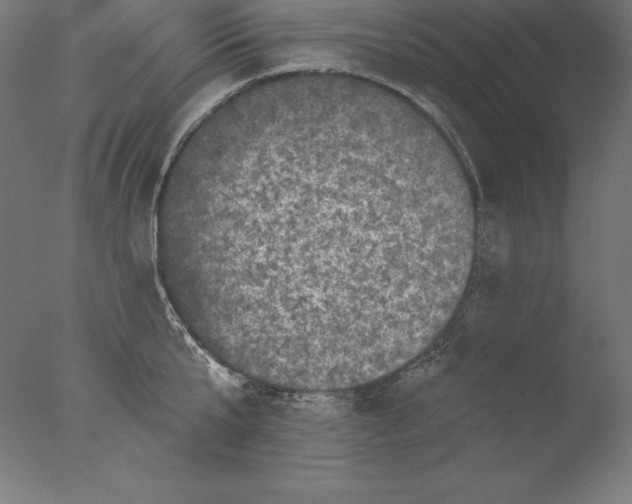 X0000076300807200610201545