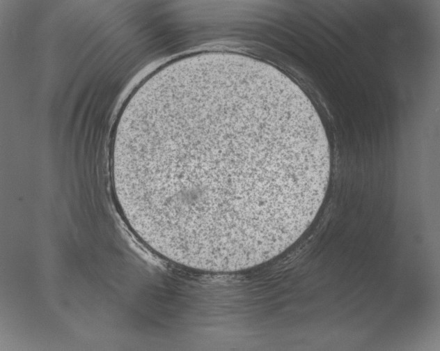 X0000076300808200610201545