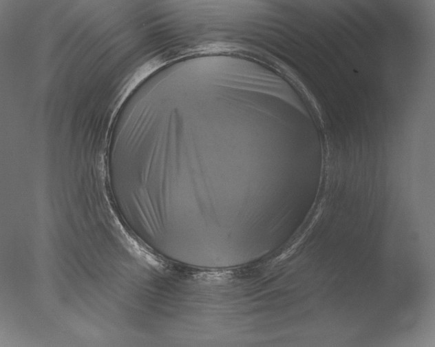 X0000076300810200610201545