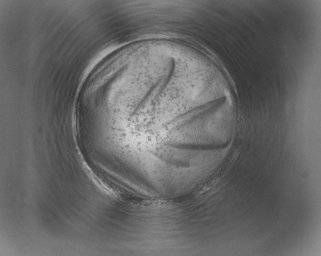 X0000076300811200610201545