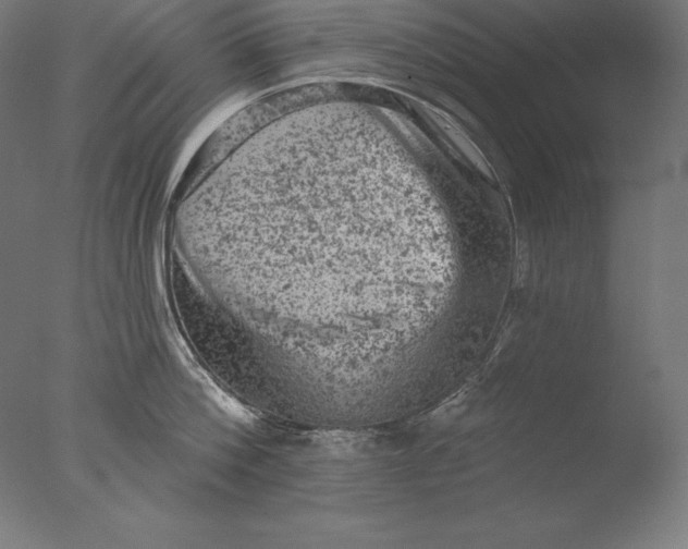 X0000076300812200610201545