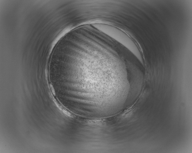 X0000076300813200610201545