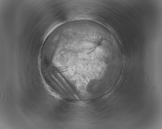 X0000076300814200610201545