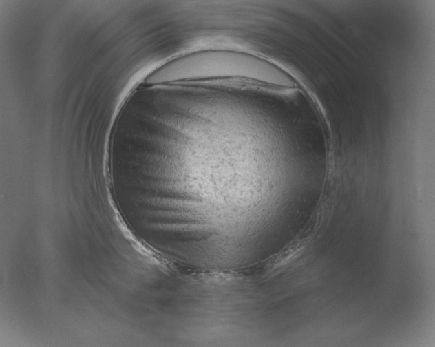 X0000076300815200610201545