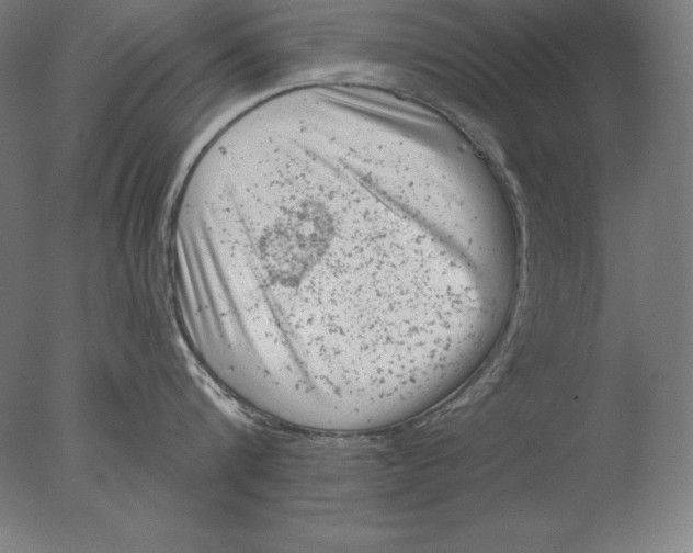 X0000076300816200610201545