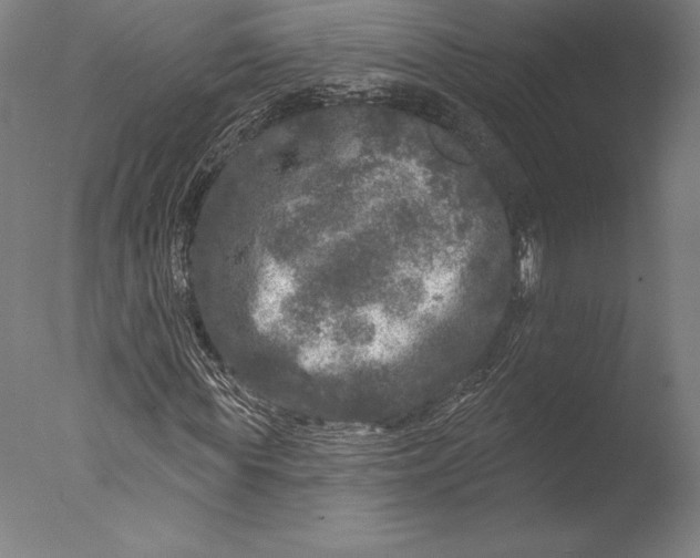 X0000076300819200610201544