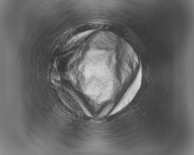 X0000076300821200610201544