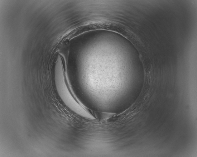 X0000076300822200610201544