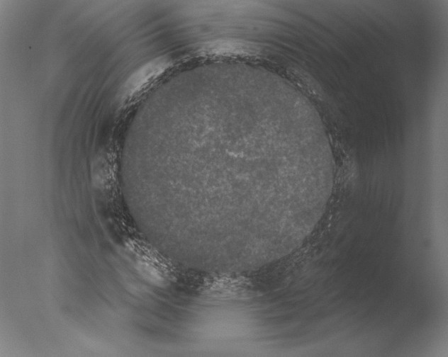 X0000076300824200610201544