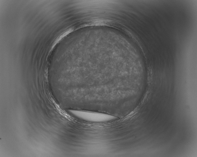 X0000076300827200610201544